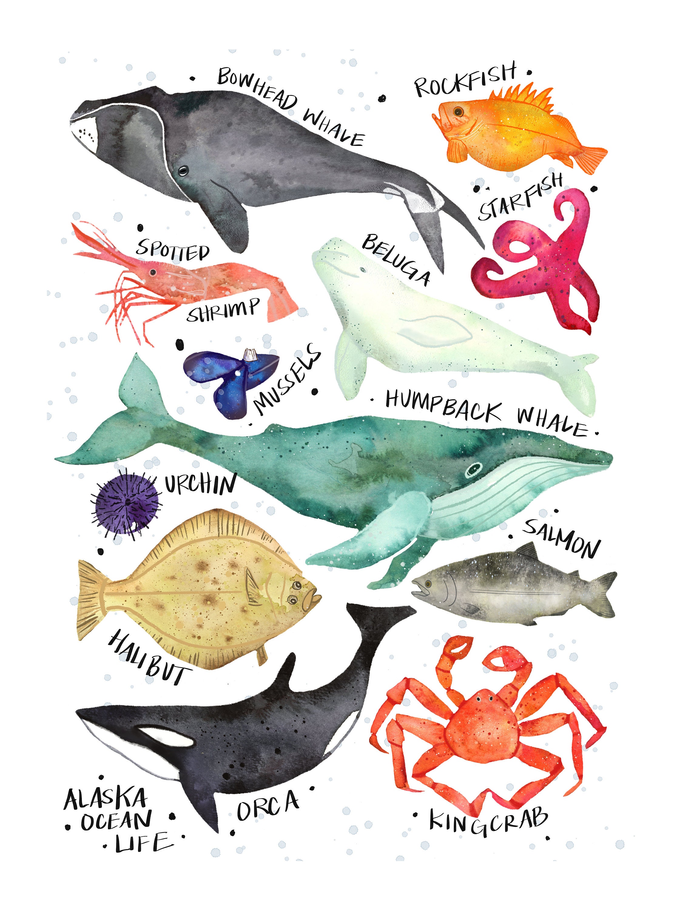 Alaska Marine Life - Etsy Alaska Marine Life - Etsy