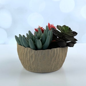 Tan 6 inch plant pot, succulent handmade planter with drainage, cute planter, ceramic flower pot with drain hole, unglazed