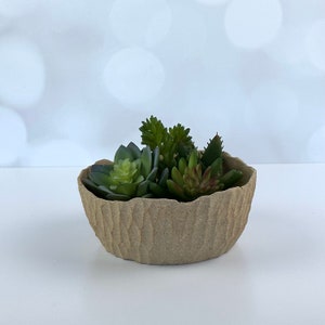 Tan 6 inch plant pot, succulent handmade planter with drainage, cute planter, ceramic flower pot with drain hole, unglazed
