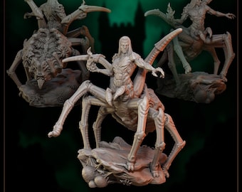 Drider Soldier Mini: 32mm D&D Spider Monster Miniature
