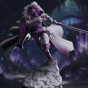 May include: A detailed figurine of a warrior in a dynamic pose, holding a sword. The figure is clad in ornate armor and a flowing cape, standing atop a rocky base. The color palette is monochromatic, with shades of gray and purple.