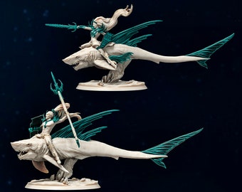 Shark Riders