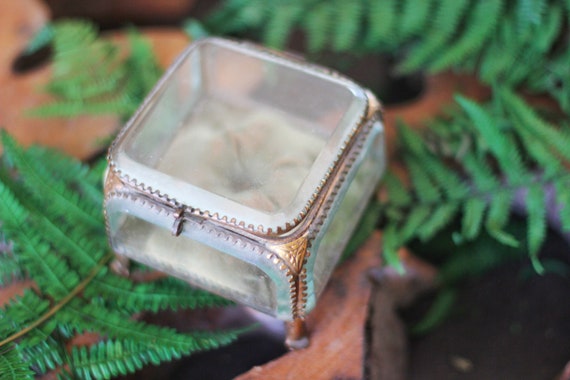 Ring box padding best sale