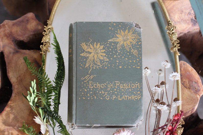 Antique Vintage Victorian Book 1882 First Editin Book: An Echo image 3