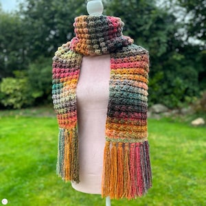 May include: A colorful crocheted scarf with a textured pattern and tassels. The scarf is made in shades of orange, red, green, brown, and black.