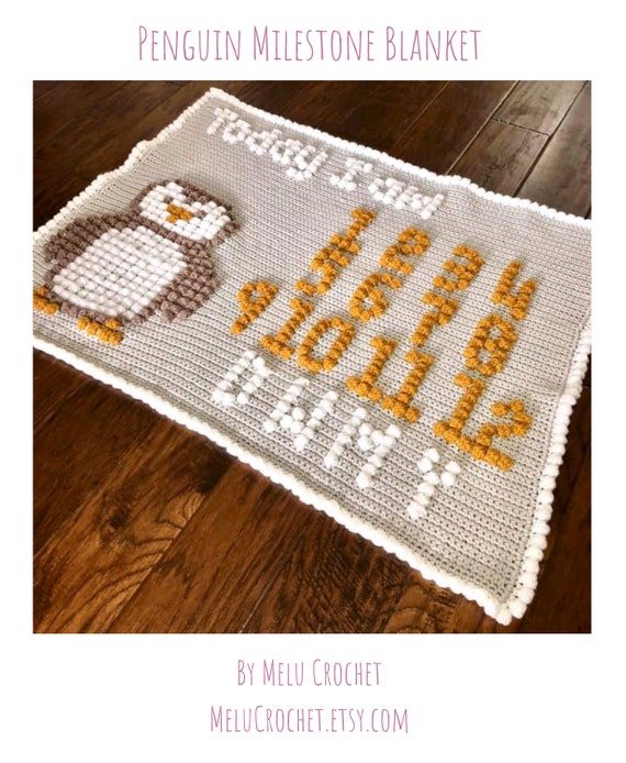 Crochet milestone blanket new arrivals