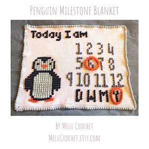 Dekenpatroon pinguïn mijlpaal bobbelsteek van Melu Crochet Moderne kinderkamer • Kijk hoe ik groei • Groeigrafiek baby • Leeftijddeken