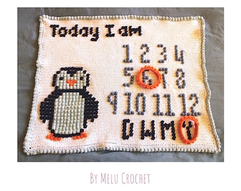 Penguin Milestone Bobble Stitch Blanket Pattern by Melu Crochet Modern nursery • Watch me grow • Baby growth chart • Age blanket