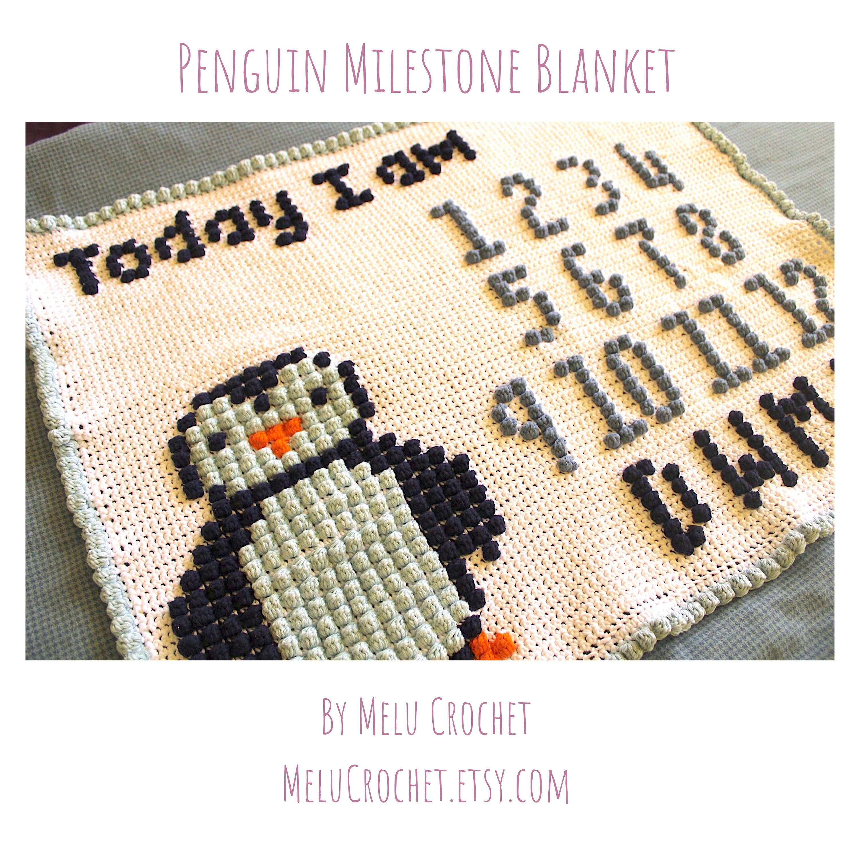 Crochet milestone blanket sale