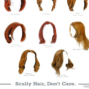 May include: A digital illustration of nine different hairstyles, all red or brown, with the text "Scully Hair, Don't Care." below. Each hairstyle is labeled with the episode and season of the X-Files in which it appeared.