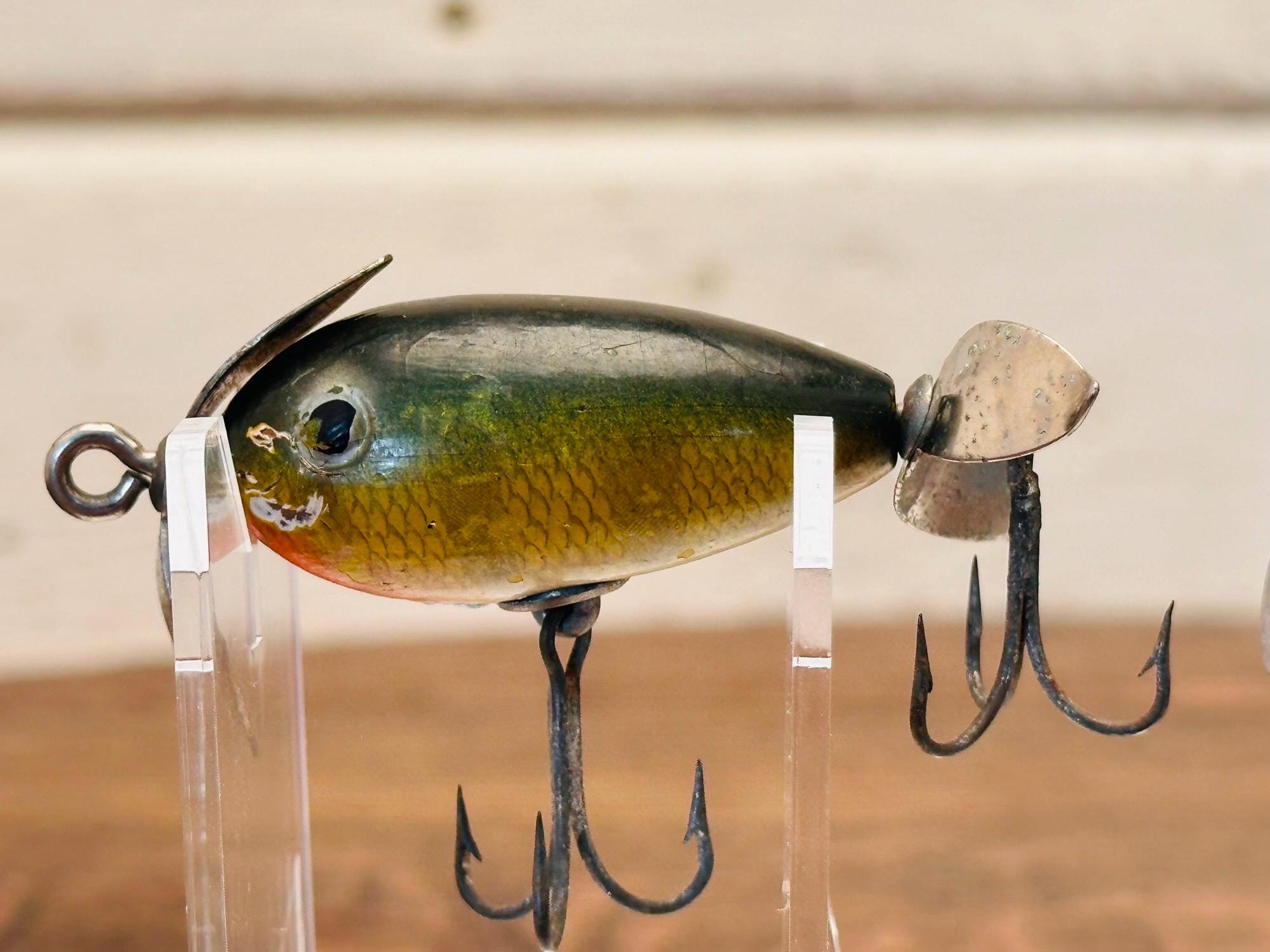 Pêche des poissons de surface en Atlantique avec Mathieu Courtin