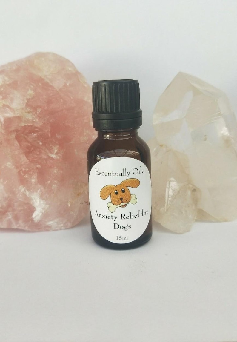Anxiety Relief for Dogs 15ml Essential Oils Natural Healing Etsy