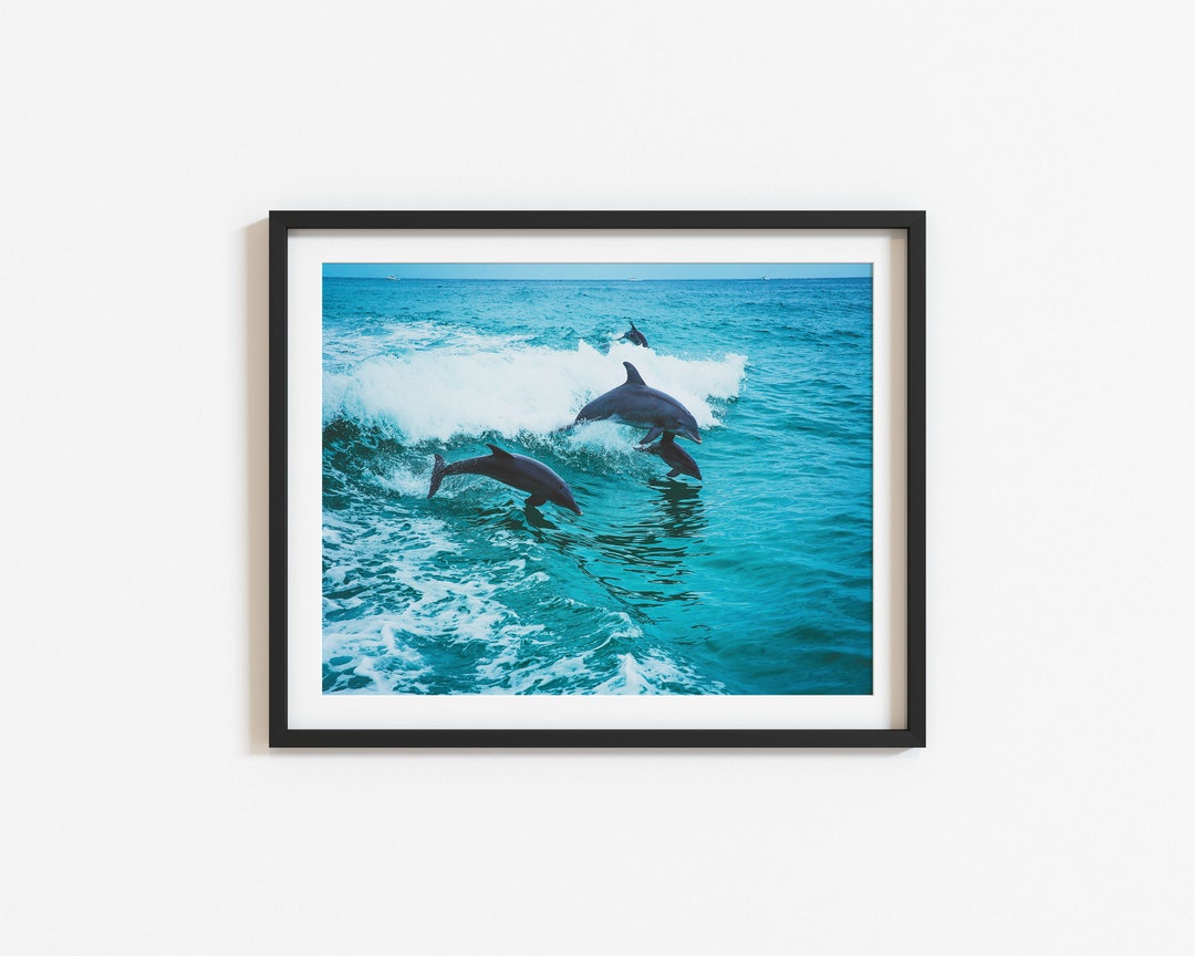 Dolphin PRINT, Dolphin Picture, Dolphin Art, Dolphin Wall Art, Dolphin
