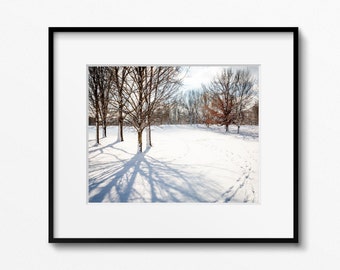 Winter Landscape Print, Snowy Landscape Photo, Winter Photo, Snow Photo, Winter Landscape, Louisville Art, Forest Photo, Winter Art Print