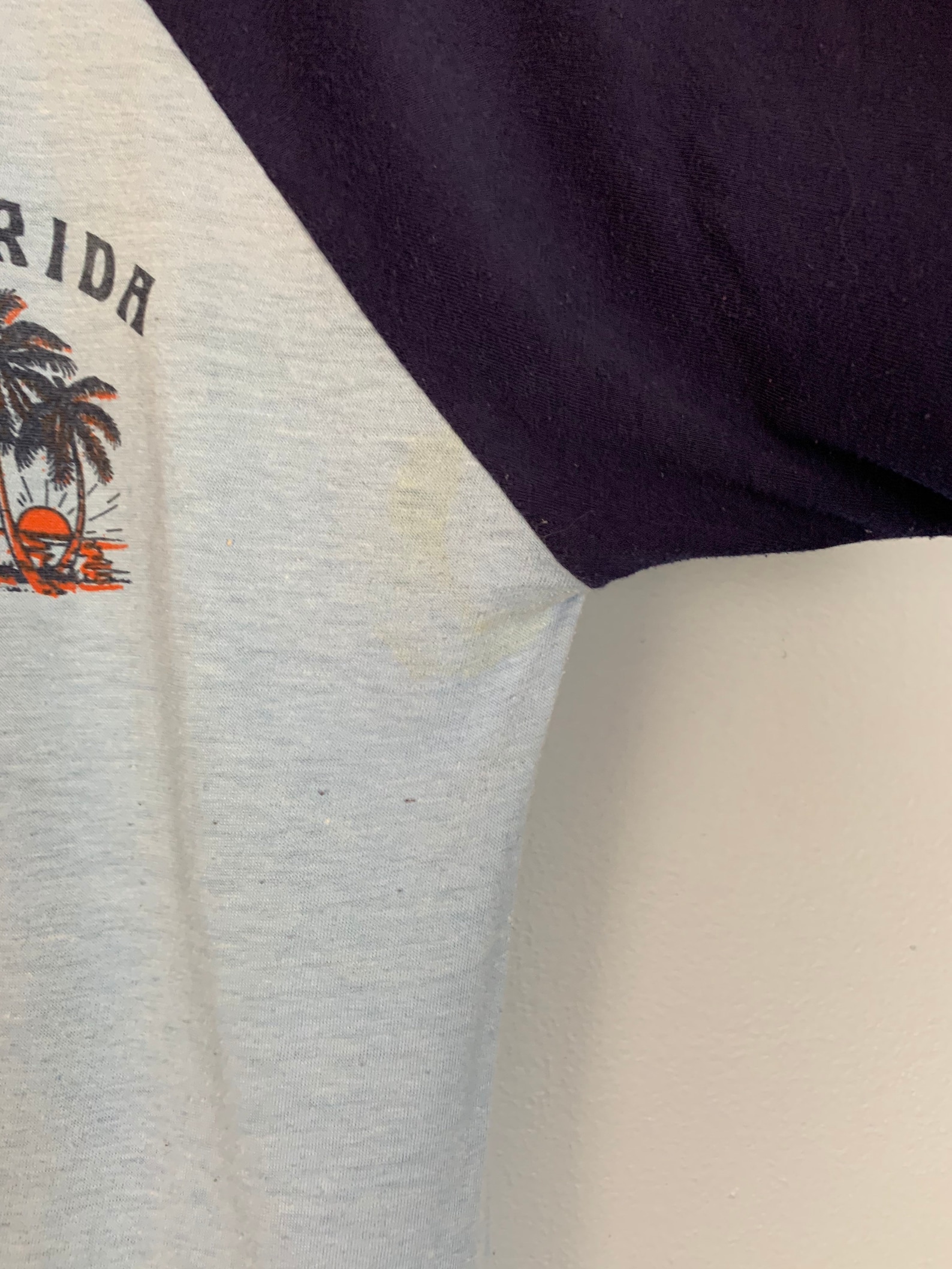 Vintage Raglan Single Stitch T-Shirt Striped Sleeve Florida | Etsy