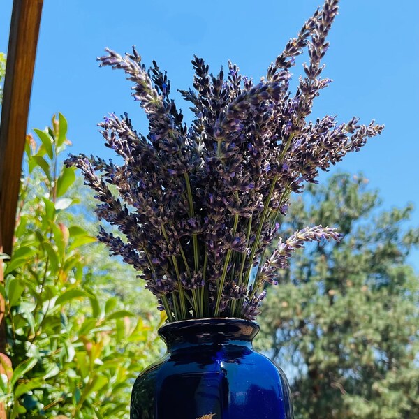 Dried Lavender Bundle, Lavender Bouquet,  English Lavender