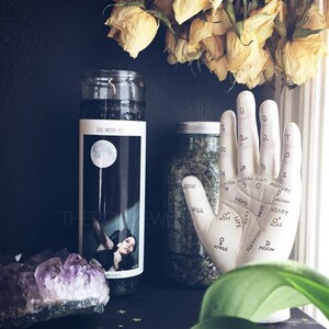 FULL MOON SPELL* 7 Day/Apothecary Spell Candle -