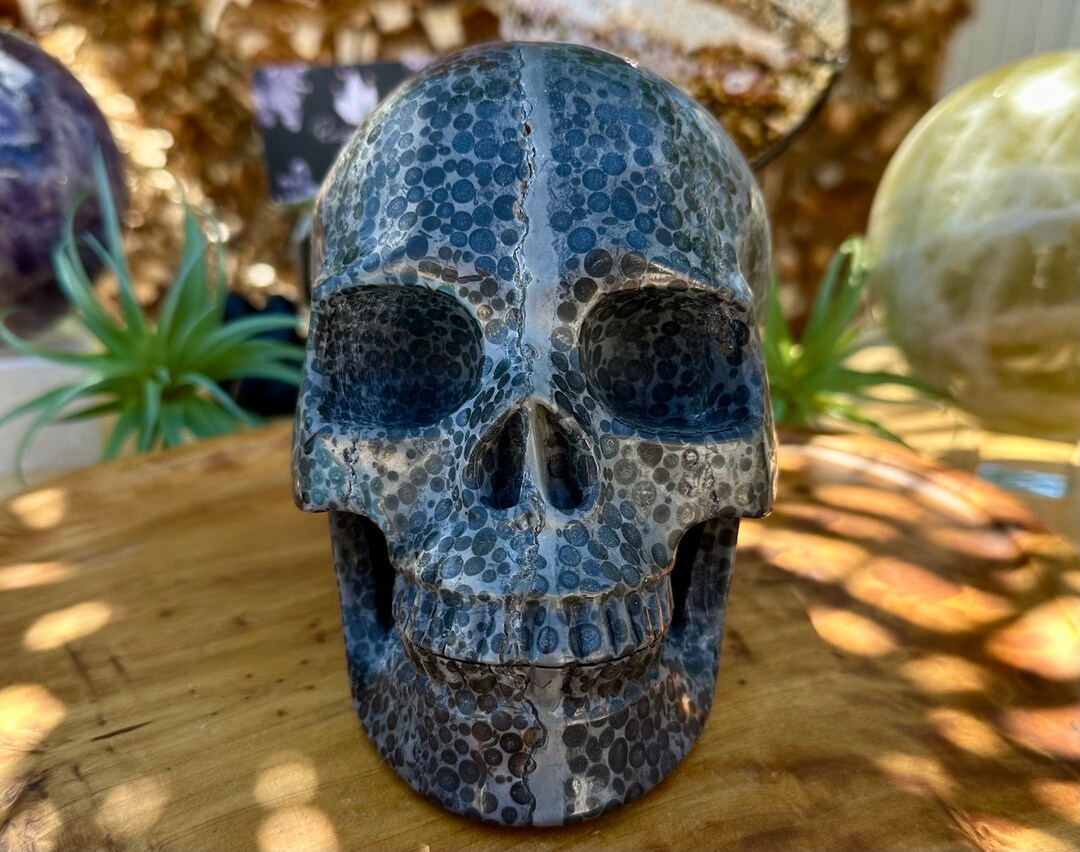 SOLD Natural Fossilized Gray Coral Crystal