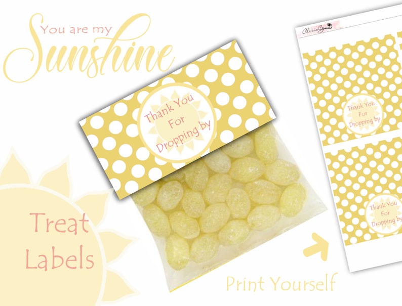 Sunshine decor Sunshine Baby shower Baby Shower decor Baby Shower Ultimate Baby Shower Pack You are my sunshine baby shower