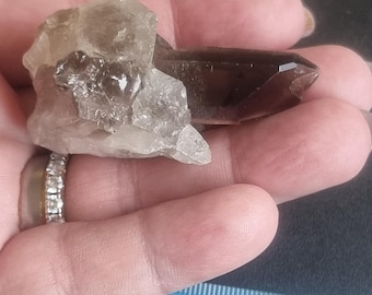 May include: A hand holds two raw smoky quartz crystals. One is a cluster of light grey, translucent quartz. The other is a dark brown, faceted crystal. A ruler with numbers is visible in the background.