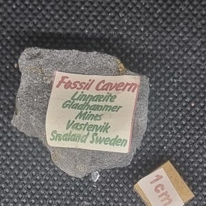 May include: A gray rock with a label that reads "Fossil Cavern Linnarite Gladhammer Mines Vastervik Smaland Sweden." A small, square, 1 cm ruler is next to the rock. The background is a dark, textured surface.