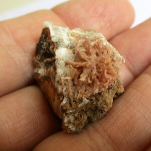 May include: A small rock with a cluster of pink and white crystals. The crystals are delicate and have a feathery appearance.
