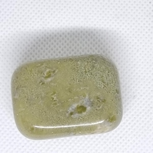 Serpentine tumble stone