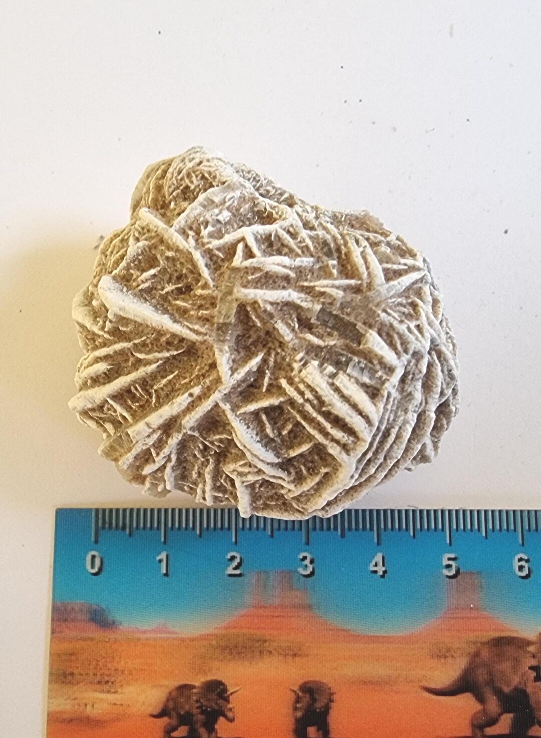 デザートローズ石膏クリスタルギフトクリスマス - Etsy 日本