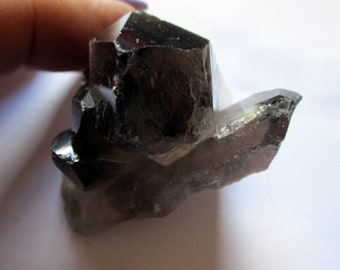 May include: A cluster of dark brown crystals with a faceted structure. The crystals have a pointed tip and a textured surface. The image shows the crystal cluster against a white background, emphasizing its natural form.