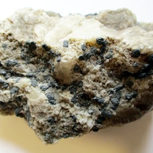 May include: A close-up of a rock with a rough, textured surface. The rock is a light gray color with dark gray specks throughout.