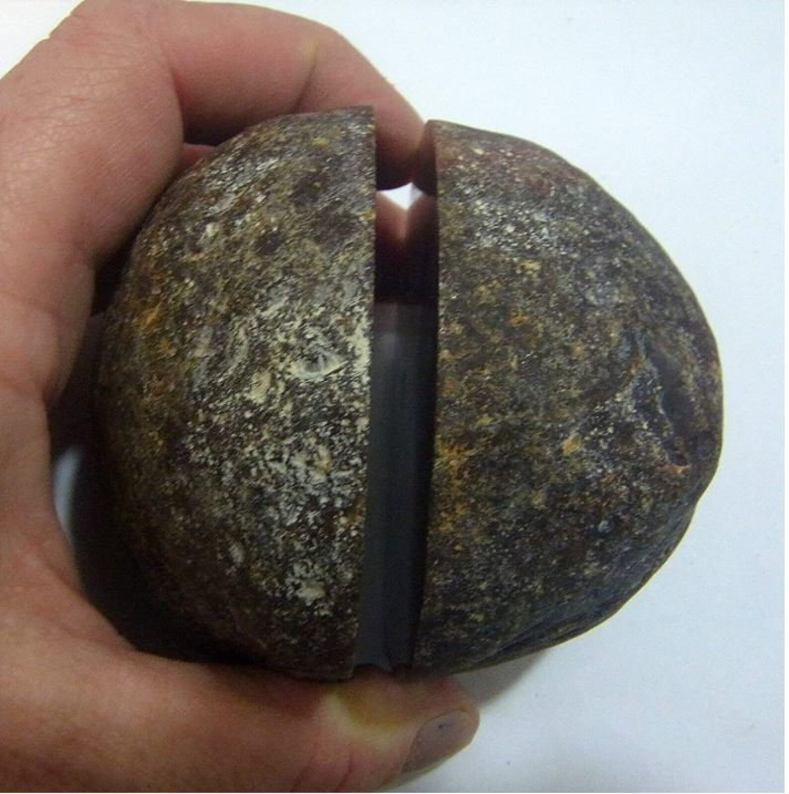 Whole Thunder Egg cut and polished beautiful and unusual Etsy