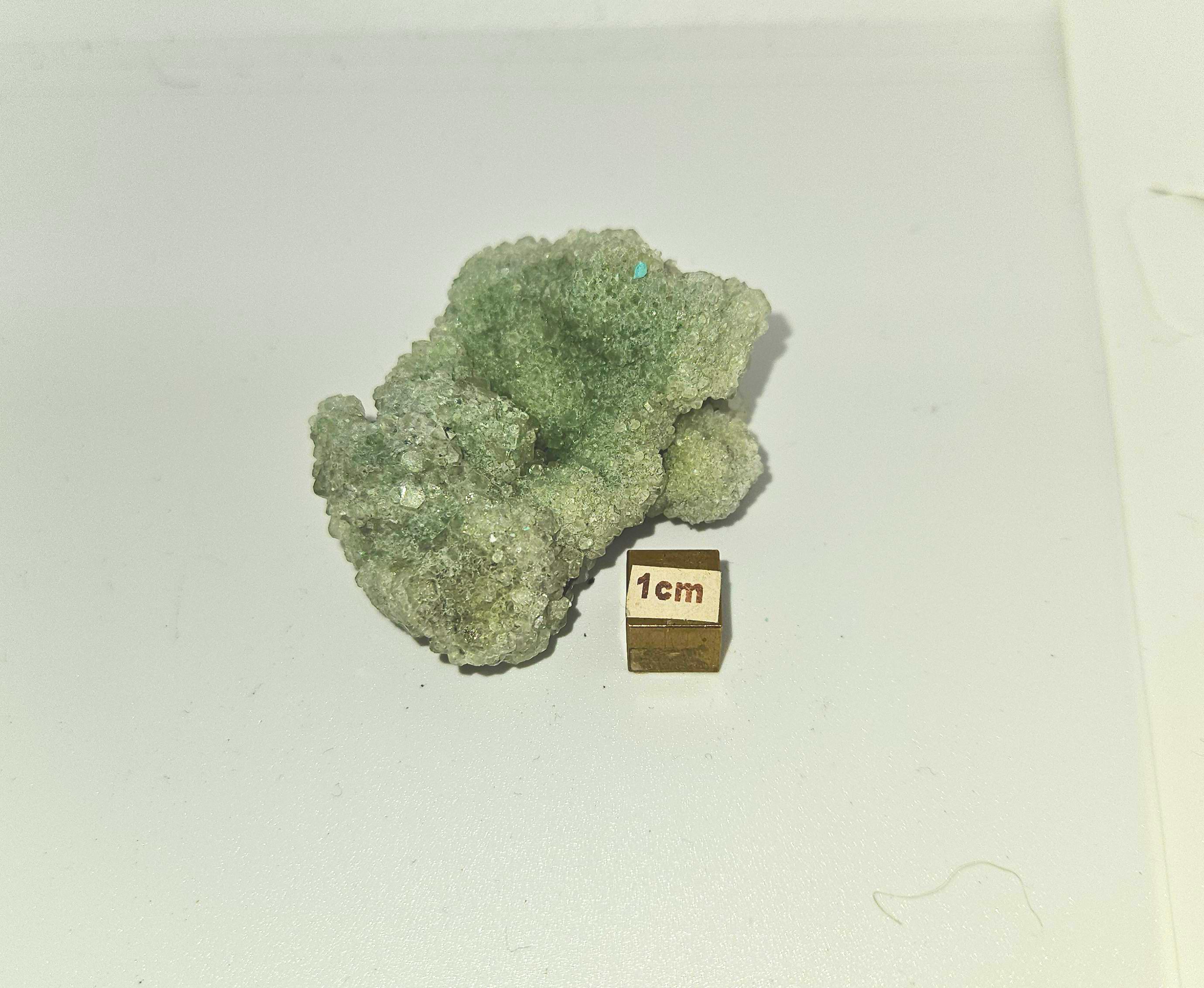 Green Gypsum Crystal - Etsy