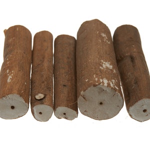 Pithwood Reinigung Logs 5er Bundle Uhrmacher Mark Holz Reinigt Uhrschrauber Pinzette Natur