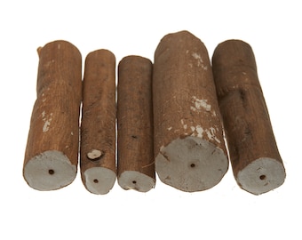 Pithwood Cleaning Logs Bundle of 5 Watchmakers Pith Wood Cleans Watch Screwdrivers Tweezers Natural