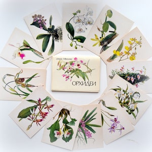 Orquídeas, conjunto de cartas, 16 peças, flores, decoração, desenho, colagem, conjunto de flores vintage, botânica, coisas efêmeras