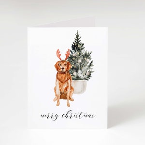 Zestaw świątecznych kartek z motywem Golden Retriever, 24 sztuki