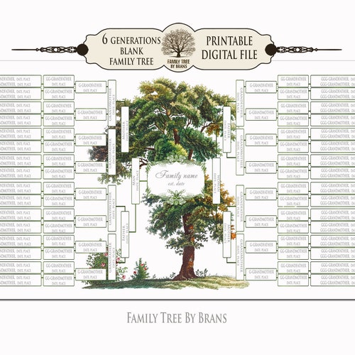 6 Generation BLANK FAMILY TREE Green Family Tree Wall Art - Etsy