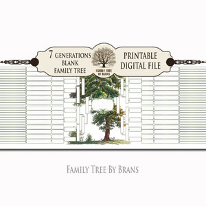 7 Generation Family Tree Template Green Family Tree Wall Art 26x10 ...