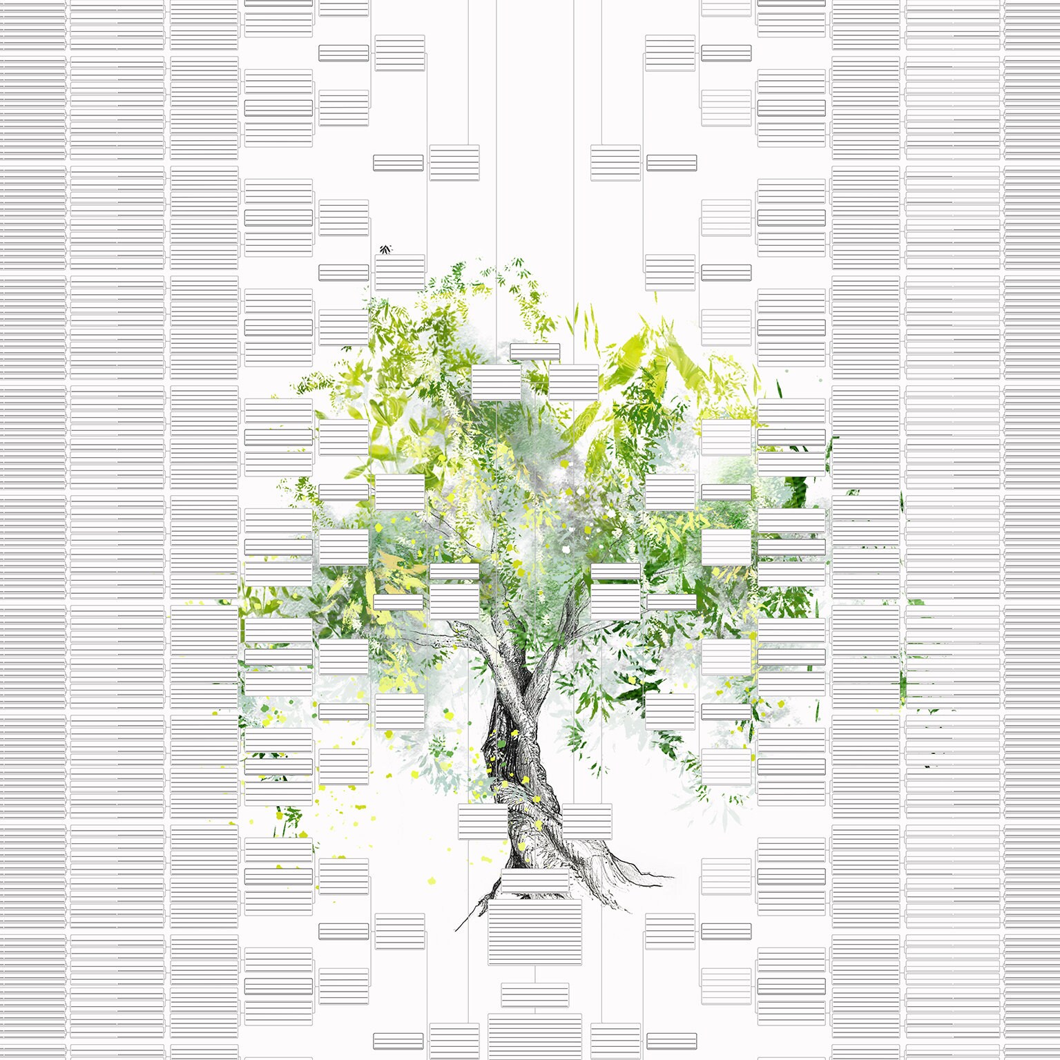 12 Generation Family Tree Template Digital Printable File Etsy Australia