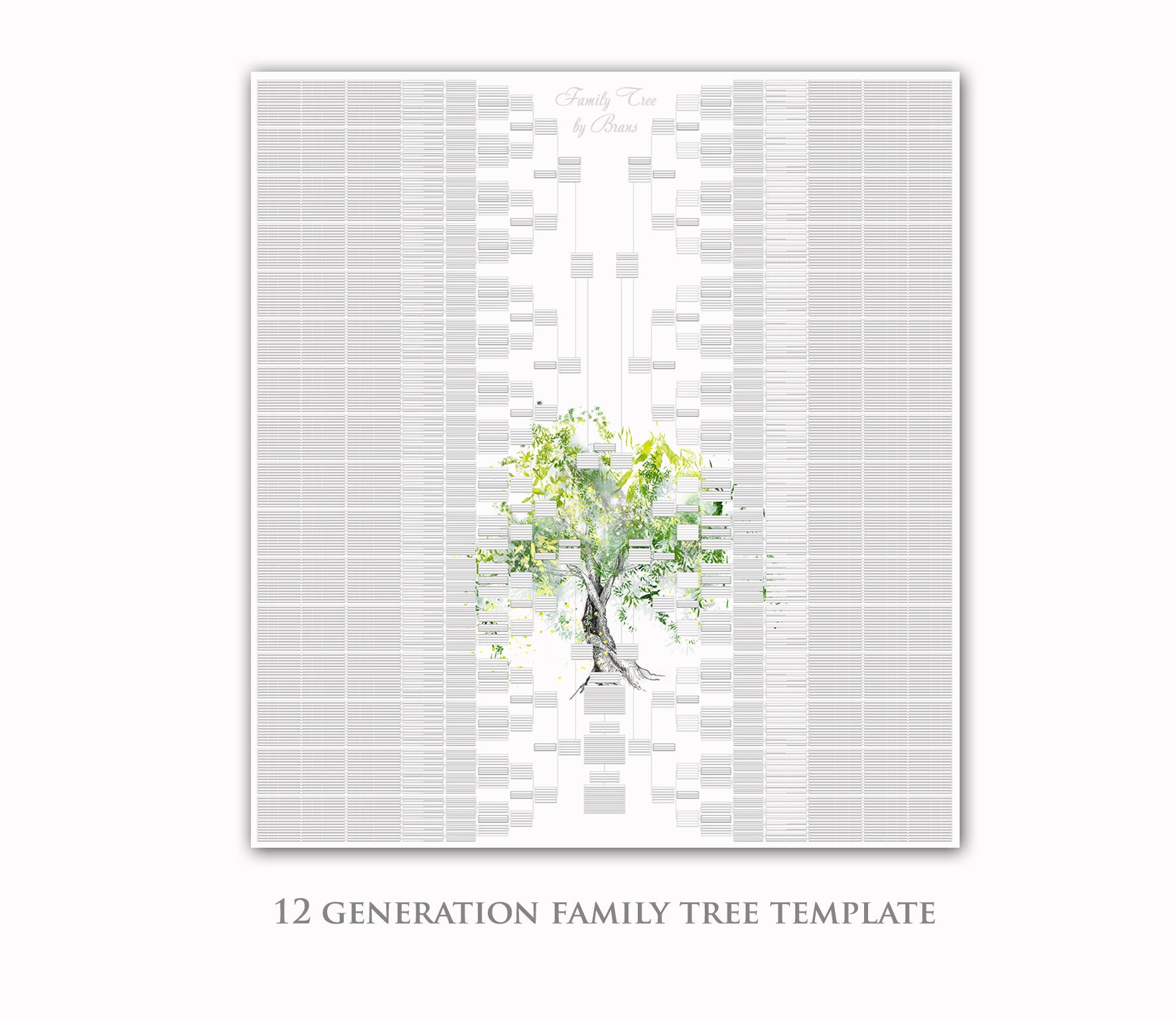 12-generation-family-tree-template-excel