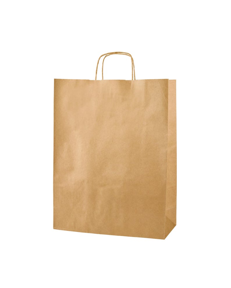 Brown Kraft Paper Gift Bags with Twisted Handles, Recyclable Shopping, Retail & Party Bags, 6 Sizes Medium 25x31x11cm