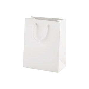 May include: A plain white paper gift bag with a rectangular base and vertical sides. The bag features two matching white cord handles attached to the top interior, providing a clean and simple design for carrying items in a vertical orientation.