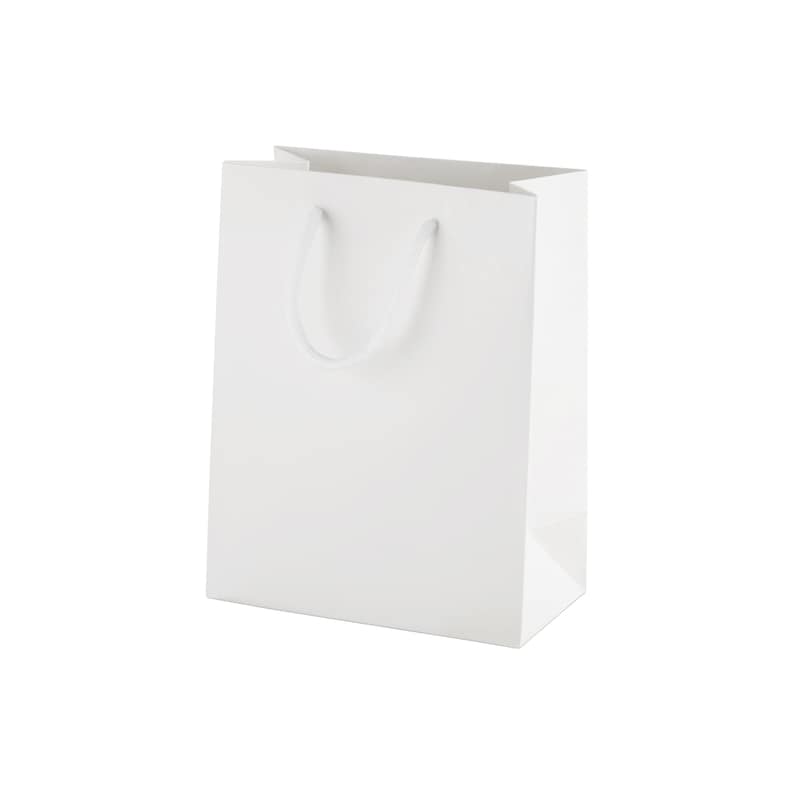 May include: A plain white paper gift bag with a rectangular base and vertical sides. The bag features two matching white cord handles attached to the top interior, providing a clean and simple design for carrying items in a vertical orientation.