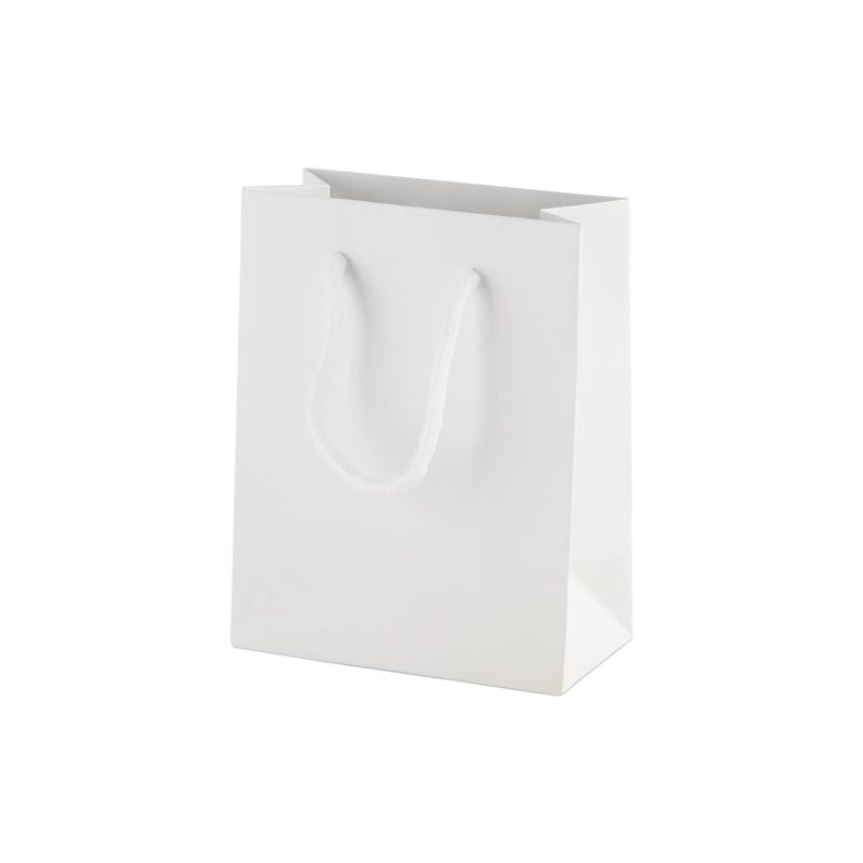 May include: A plain white paper gift bag with a rectangular base and a vertical orientation. The bag features two white rope handles attached to the top interior, providing a clean, minimalist appearance with a smooth, matte white finish.