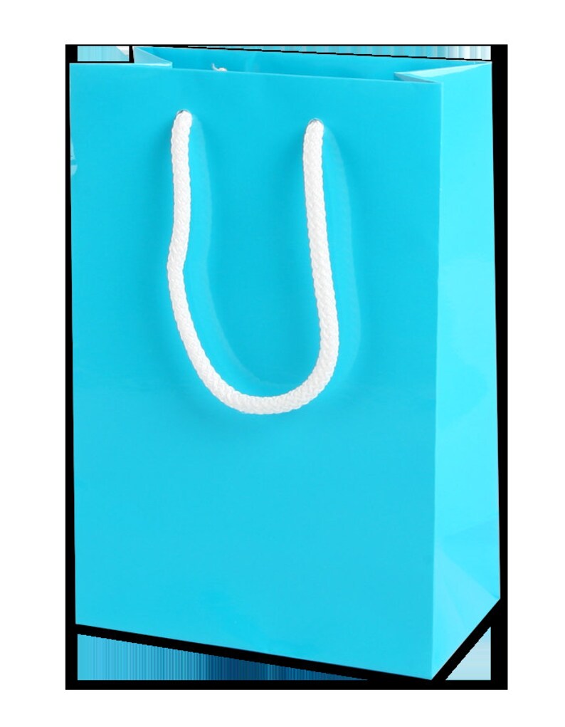 GLOSS Paper PARTY BAGS Boutique Gift Bags With Rope Handles Etsy UK