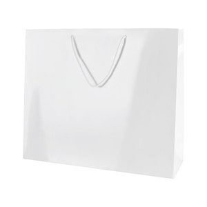 May include: A white paper gift bag with white rope handles.