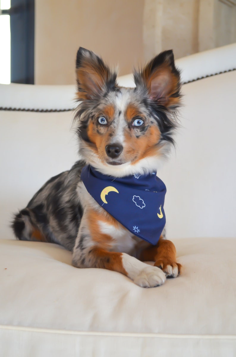 Luna Bandana