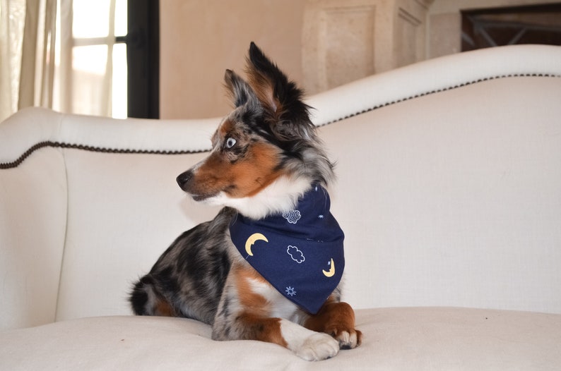 Luna Bandana