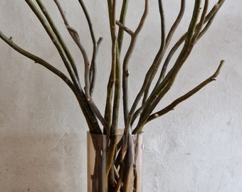 Set of 16 willow curly branches Twisted willow branches sticks willow curly stalks willow bunch Scandinavian home  farmhouse rustic decor