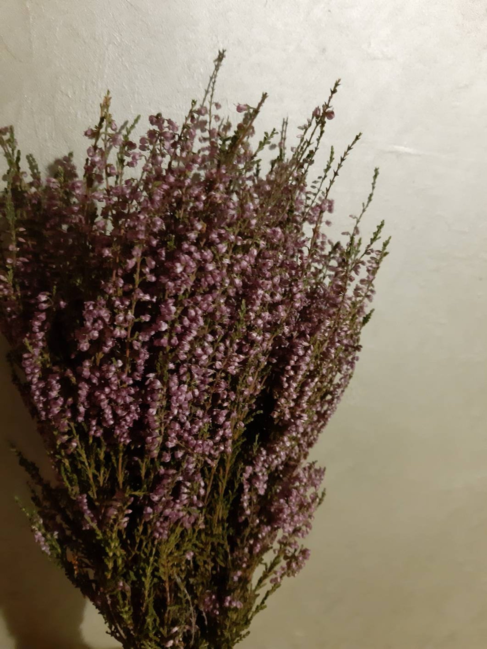 Heather Bouquet Dried Flower Bunch Dried Heather Flower Etsy